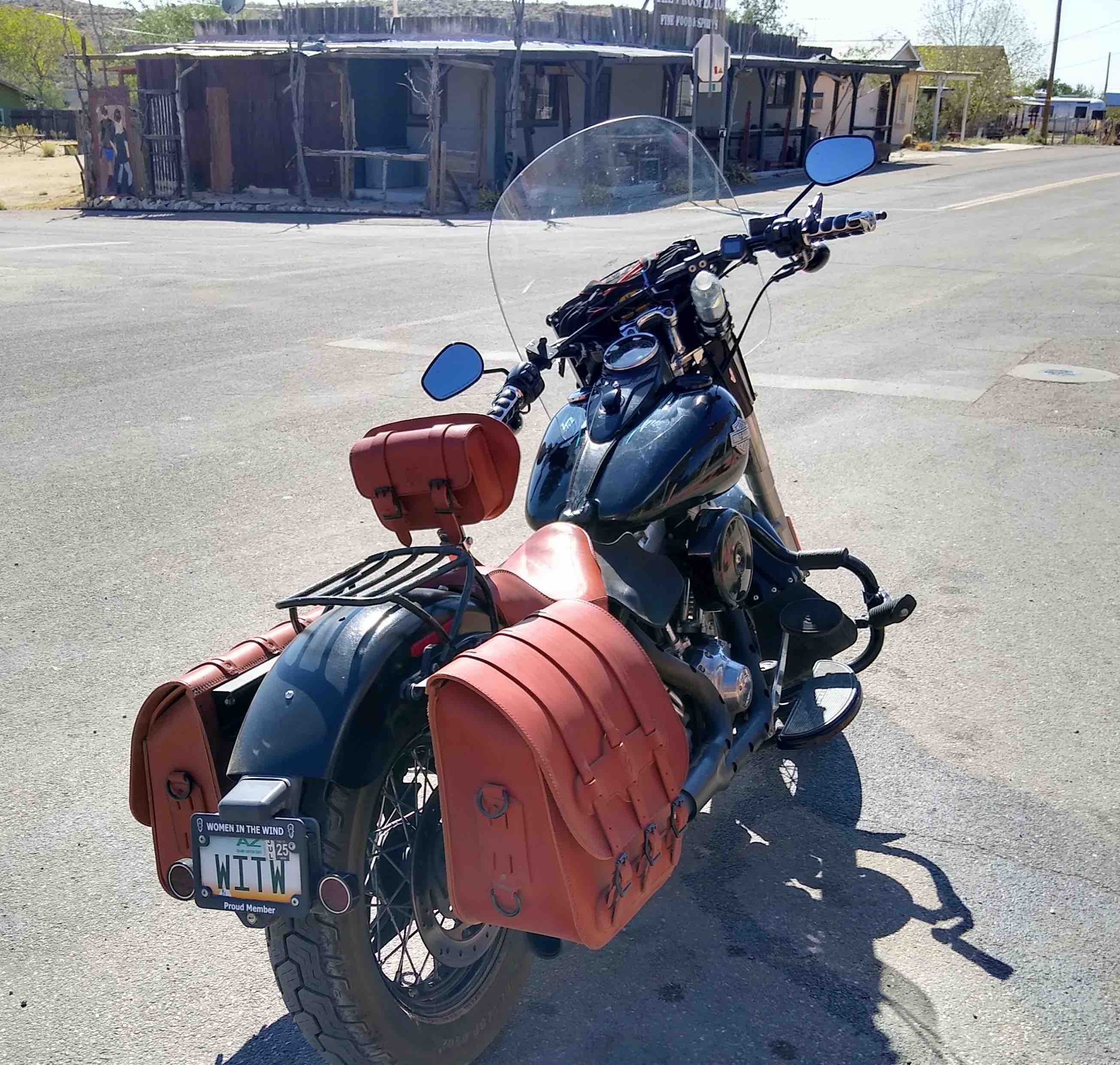 Harley-Davidson Softail Steer Hide Custom Seat Backrest and Saddlebags